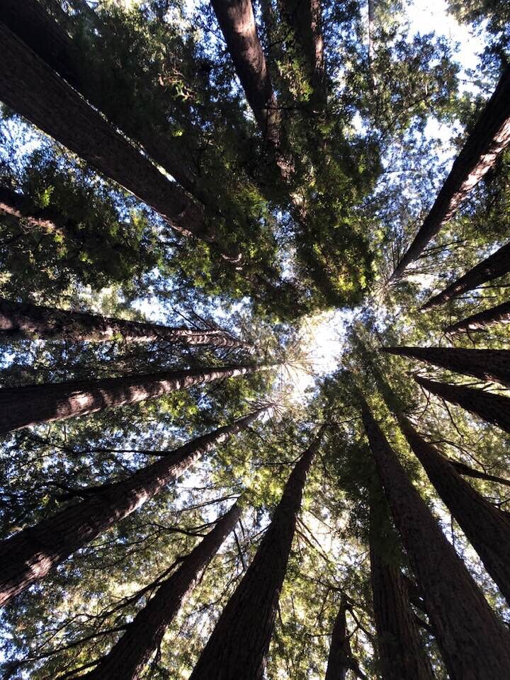 Let the sun shine in