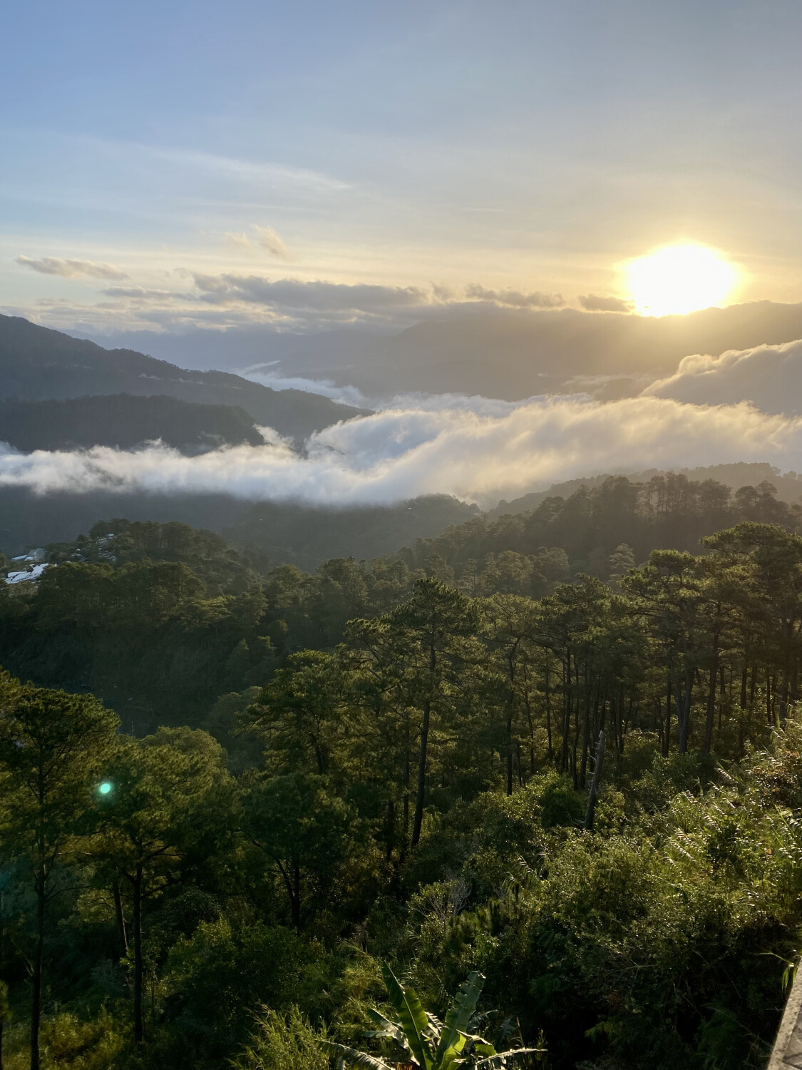 Sea of clouds during sunset