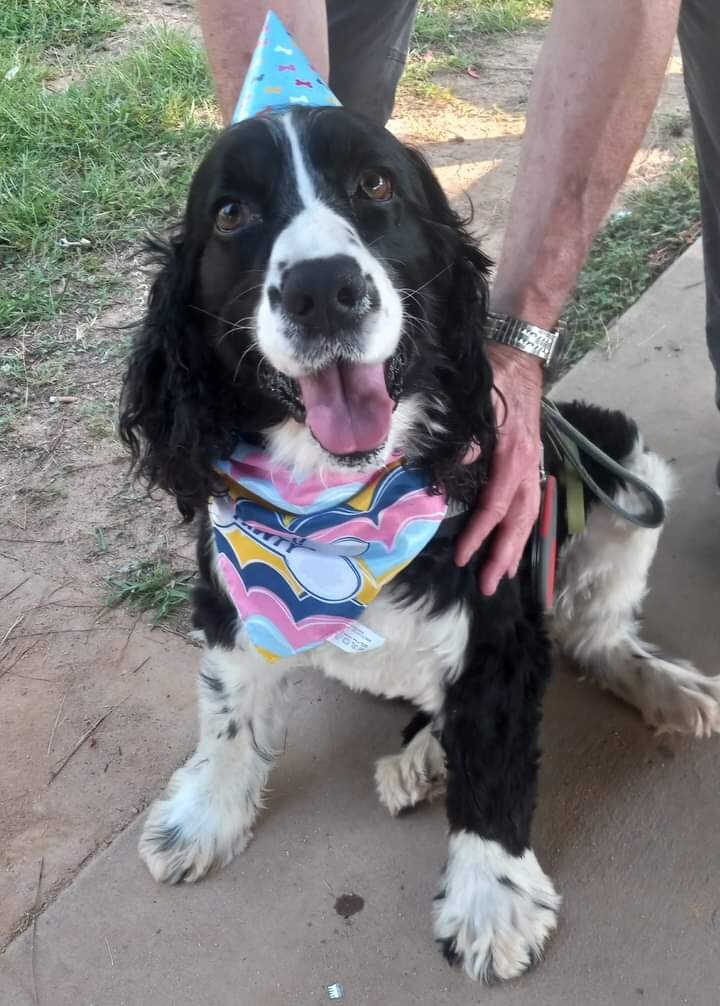 Darcy's Birthday Party