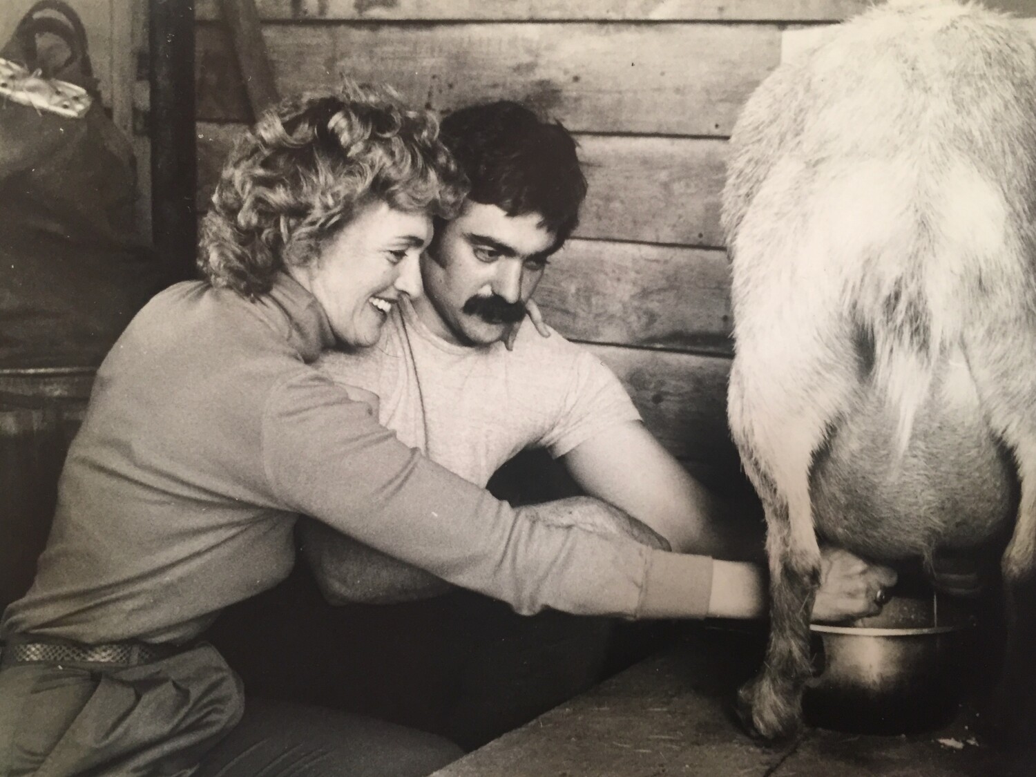 milking our goat Fauna