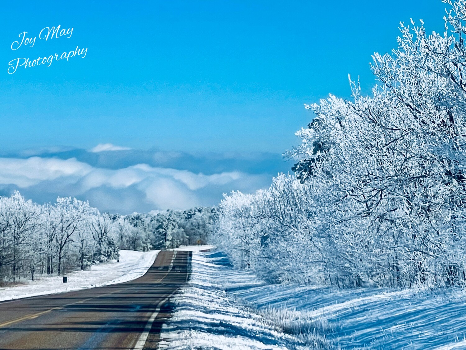 Blissfully Snow ❄️