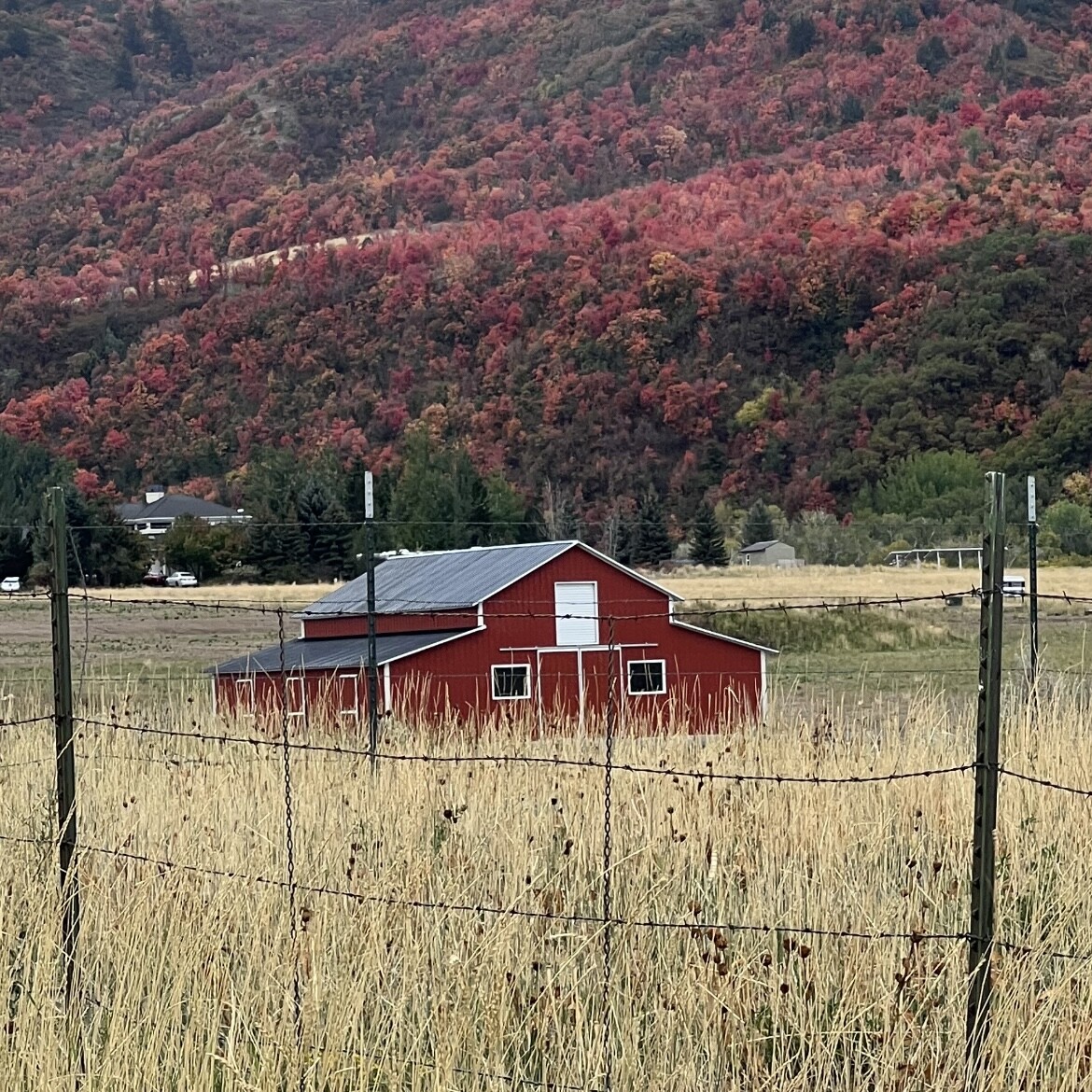 Red barn
