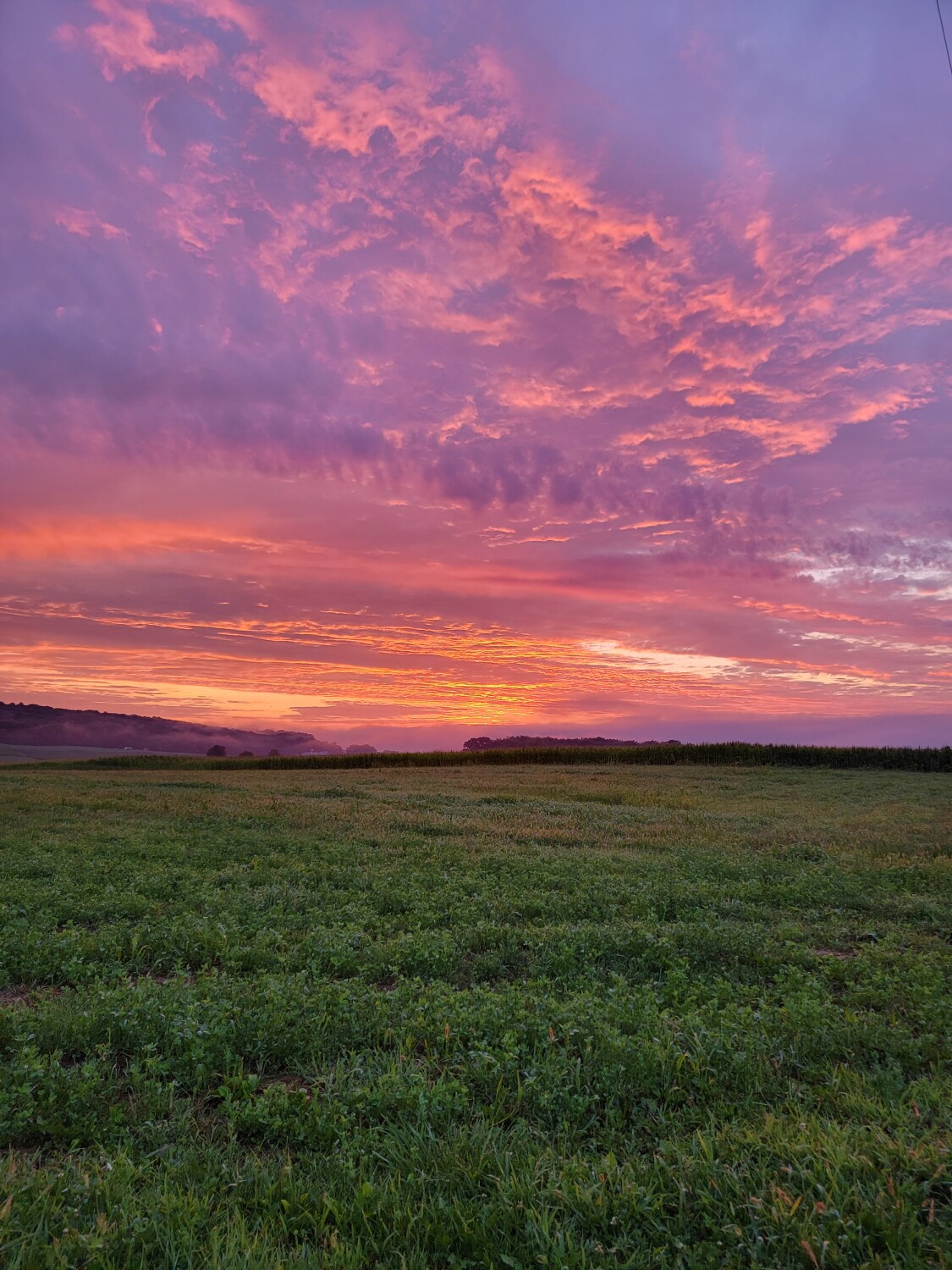Beautiful morning sky