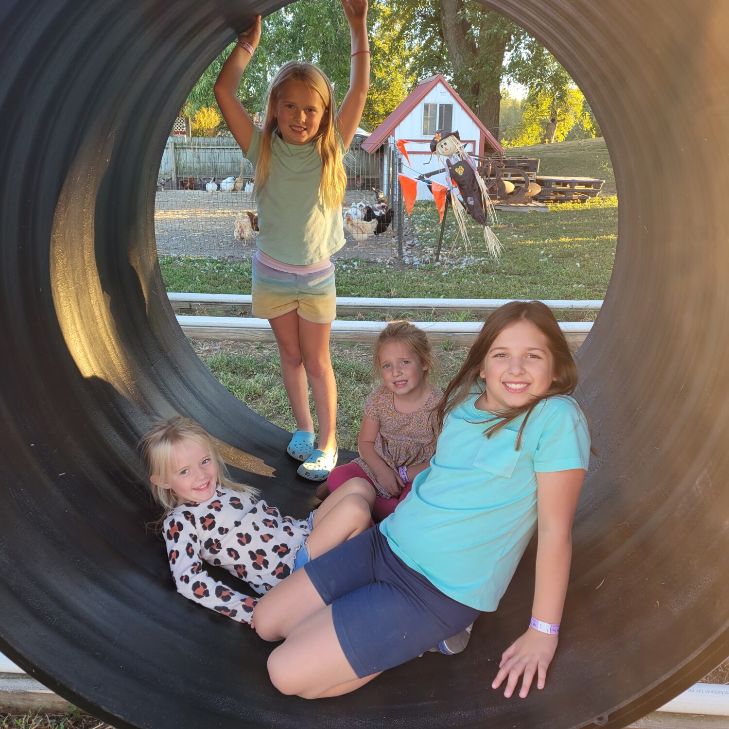 Fun at Fischer Farms!