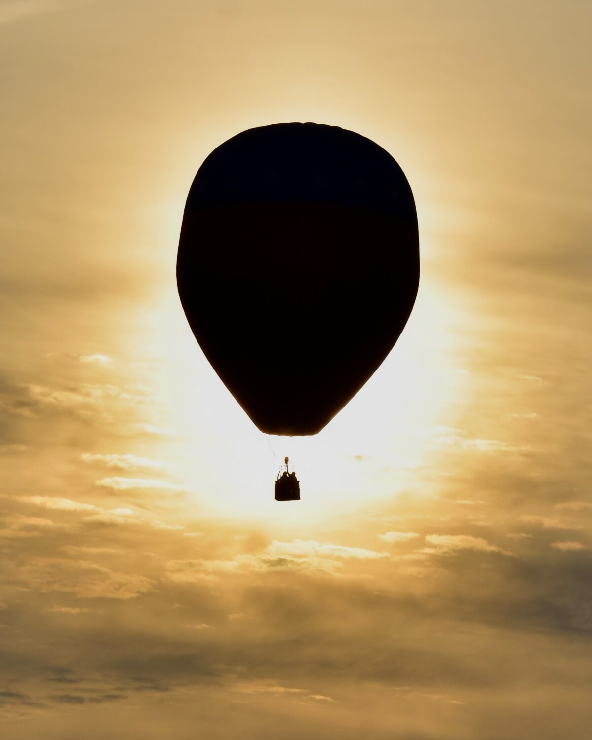 Balloon Silhouette