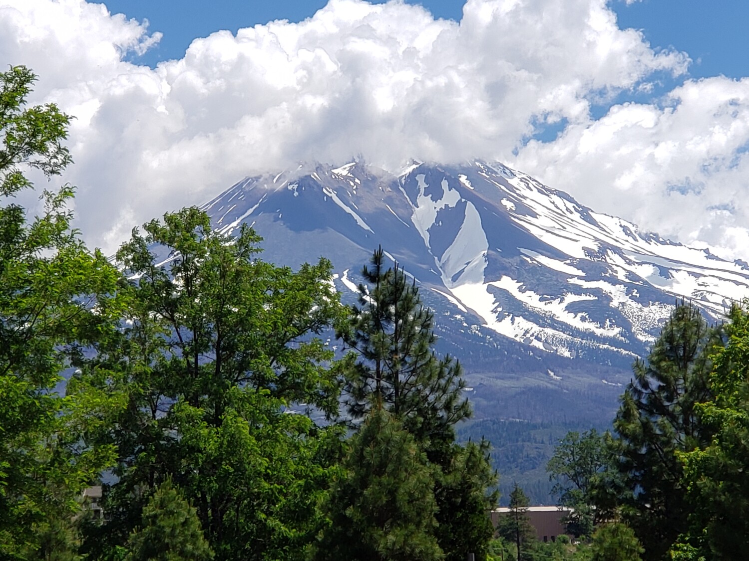 Mt Shasta