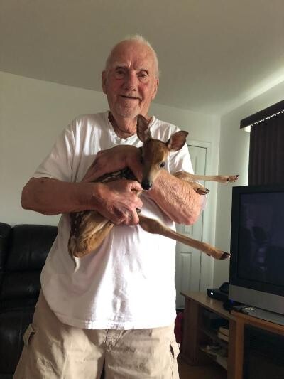 Dad and Baby deer
