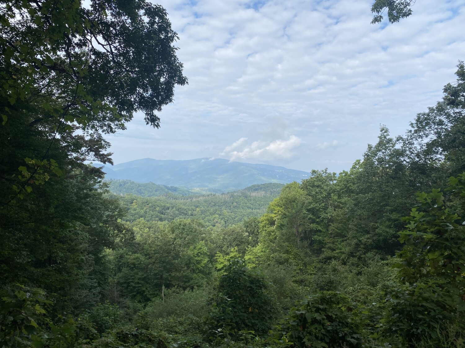 America the Beautiful