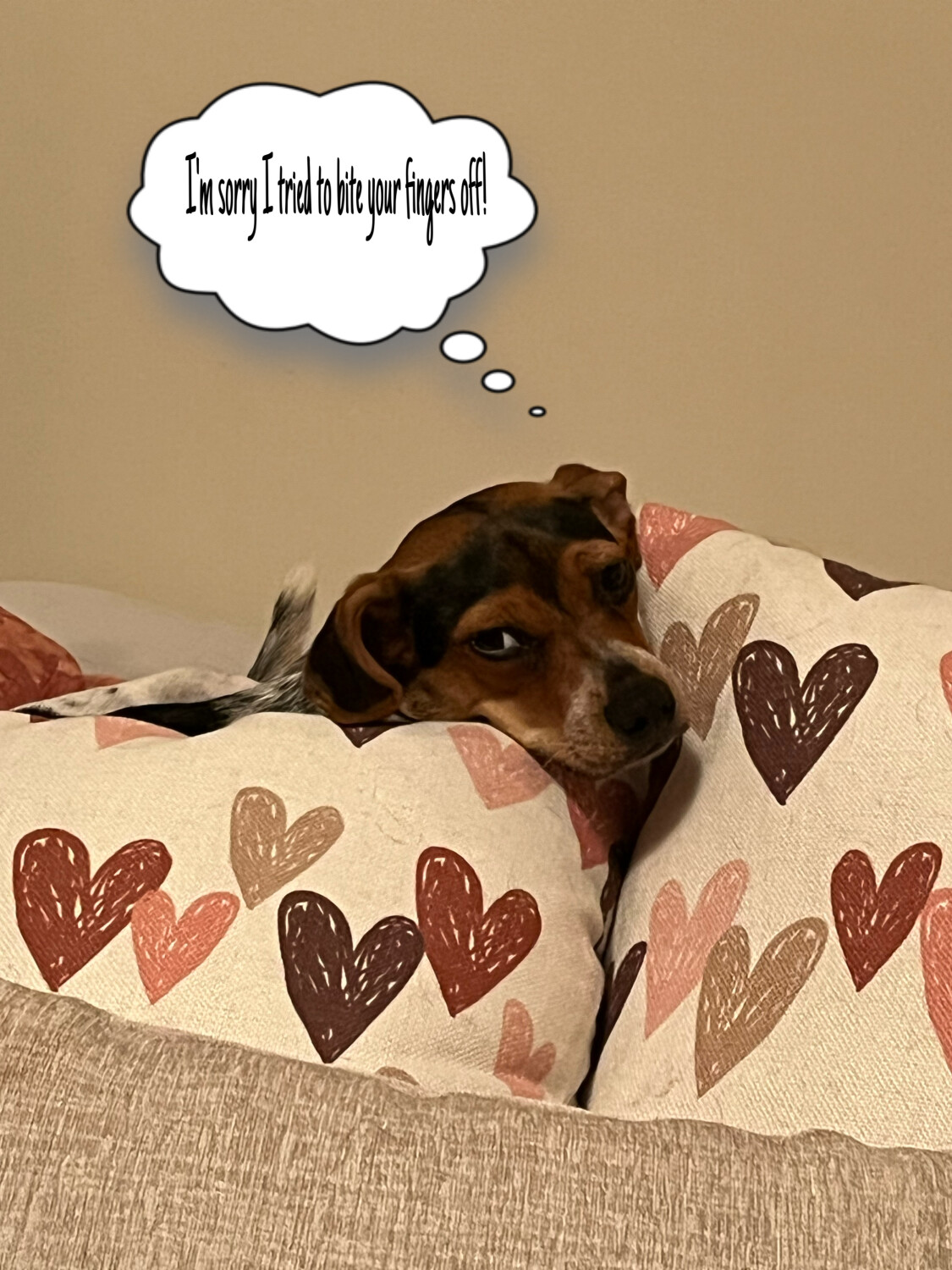 Rosie at her favorite place to be.