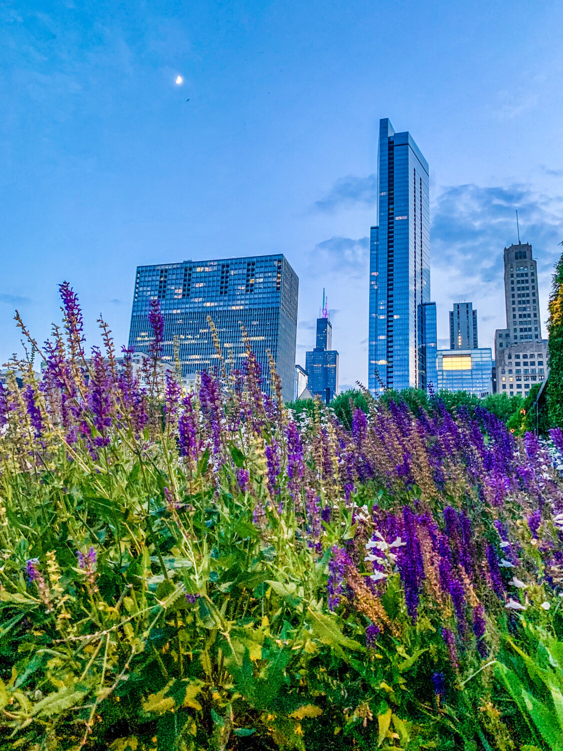 Saturday in the park