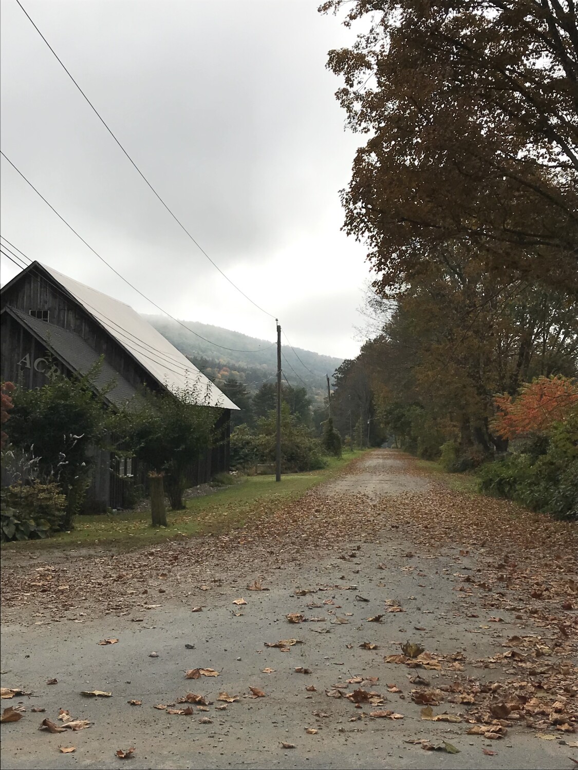Autumn in New England