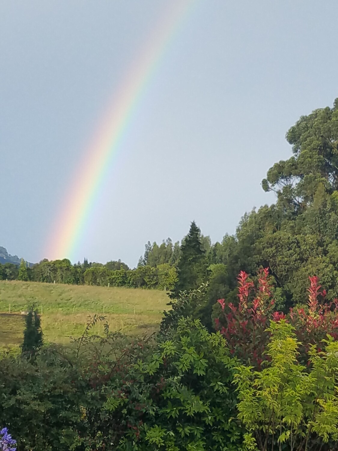 Waking up in Paradise
