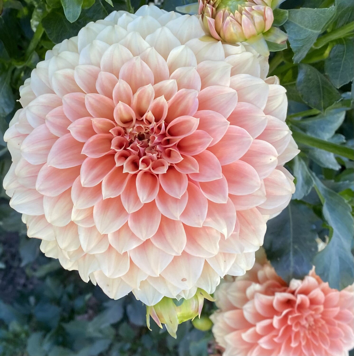 Beauty found in the simple