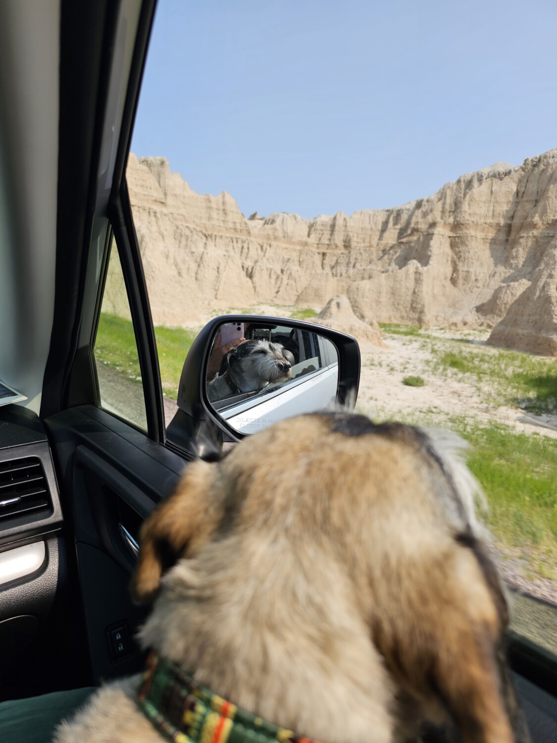 Benny and the Badlands