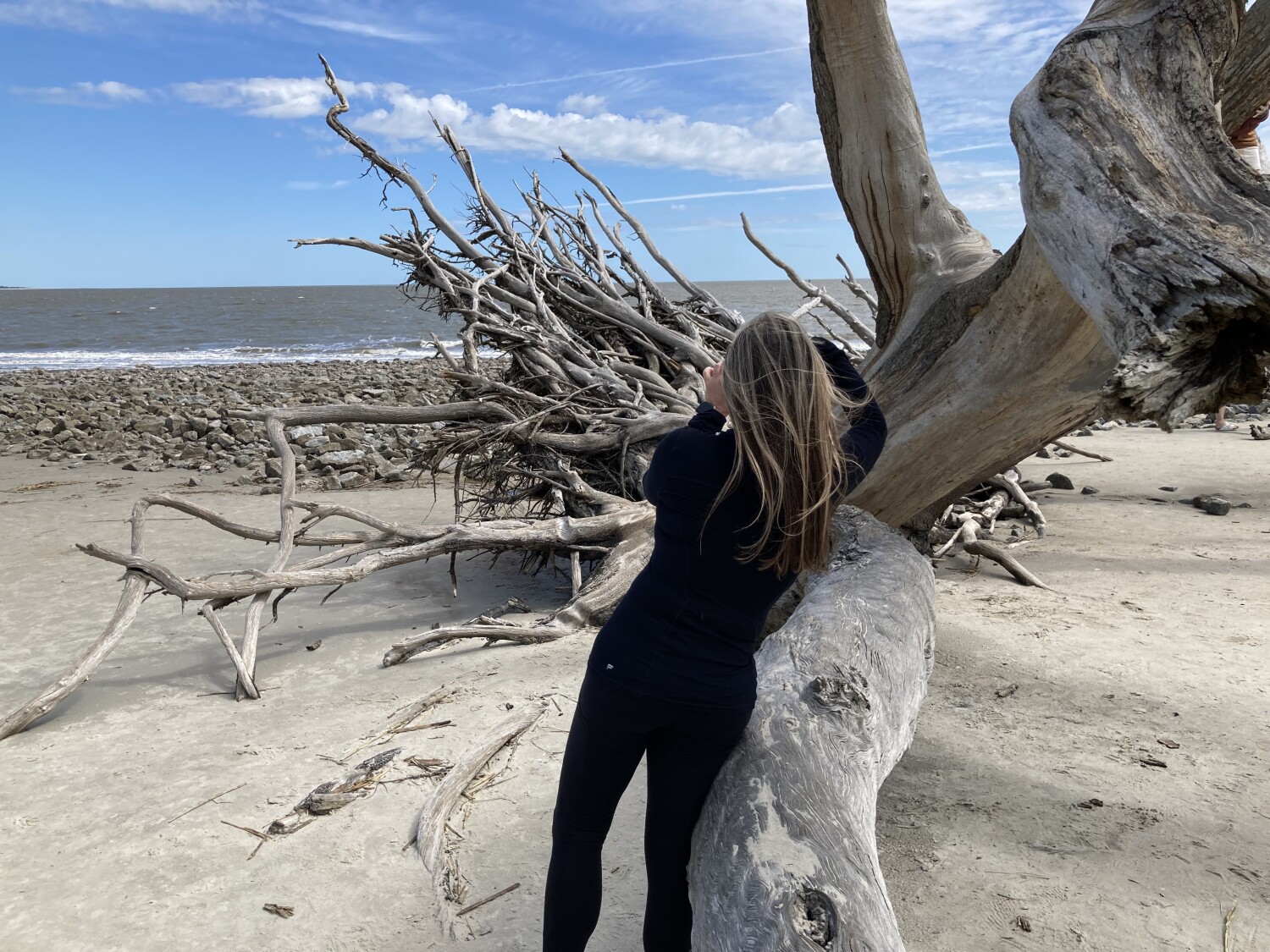 Driftwood Beach