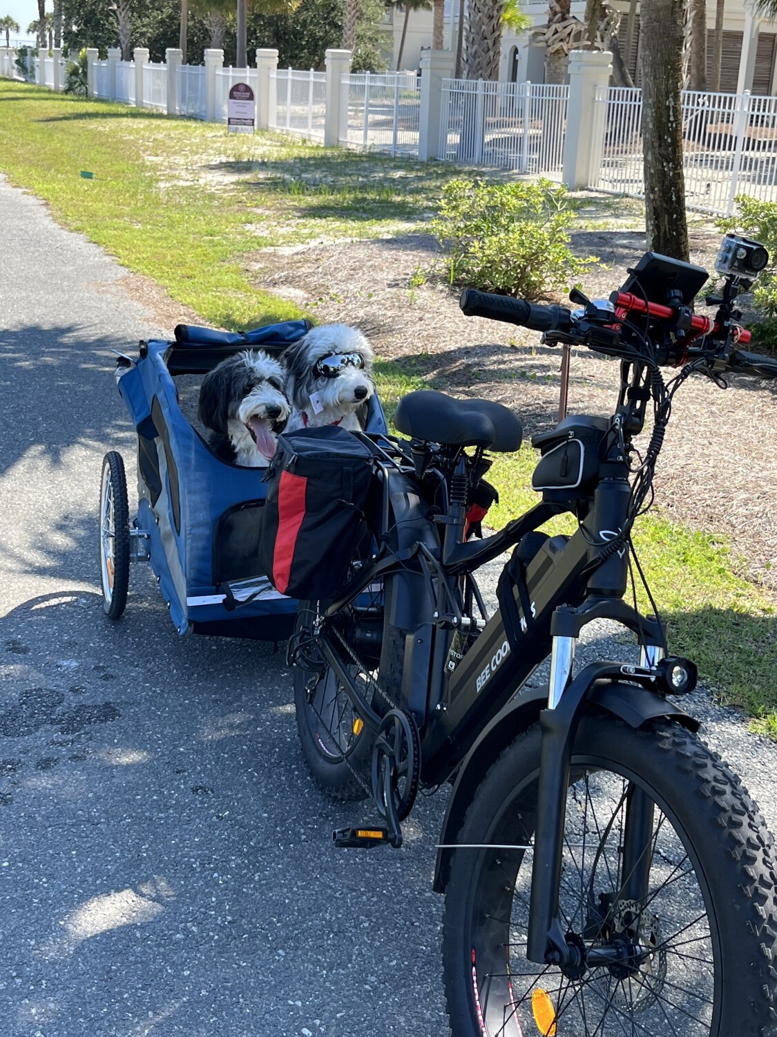 Milly and Miles St George Bike Ride