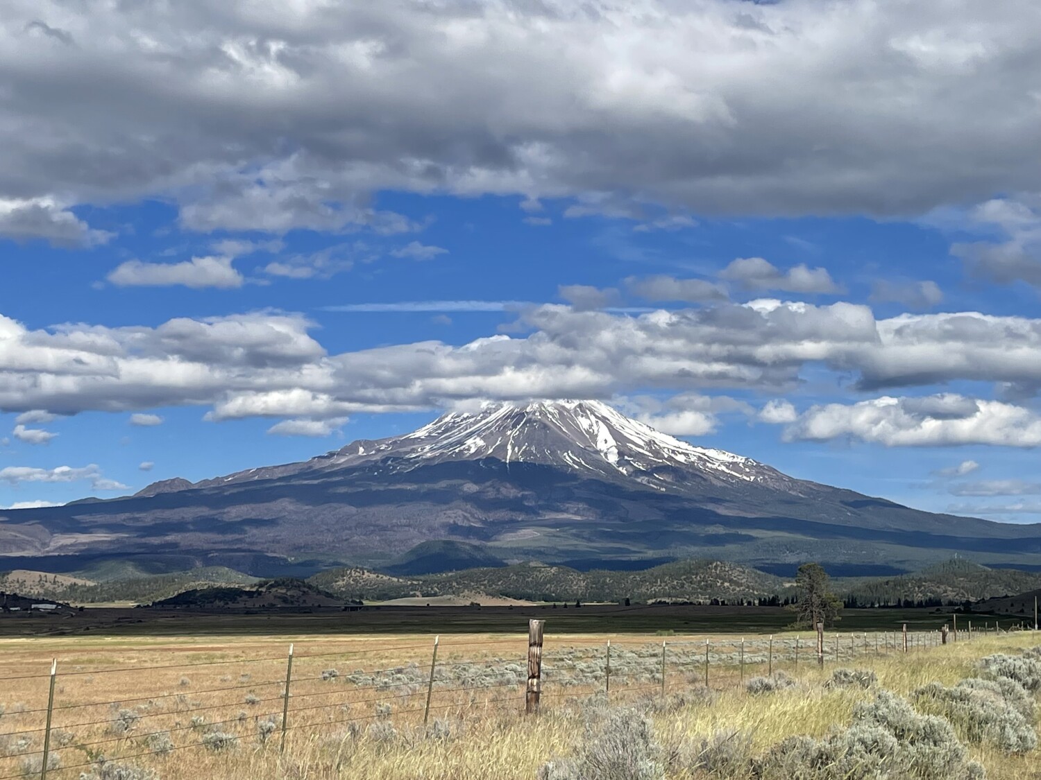 Mount Shasta