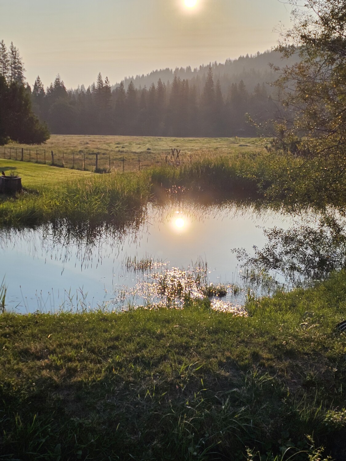 Good Morning