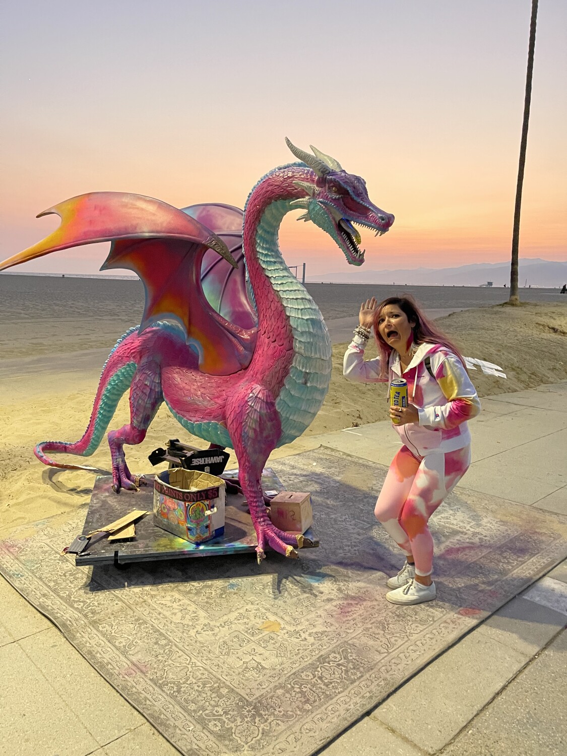 Venice Beach Dragon