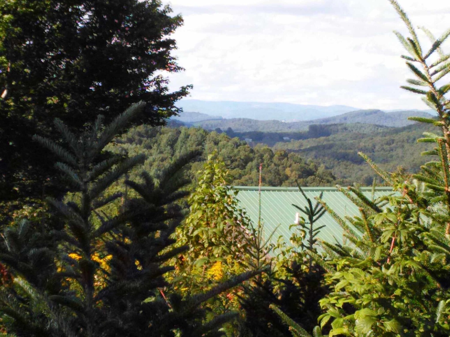 Blue Ridge Mountains, North Carolina