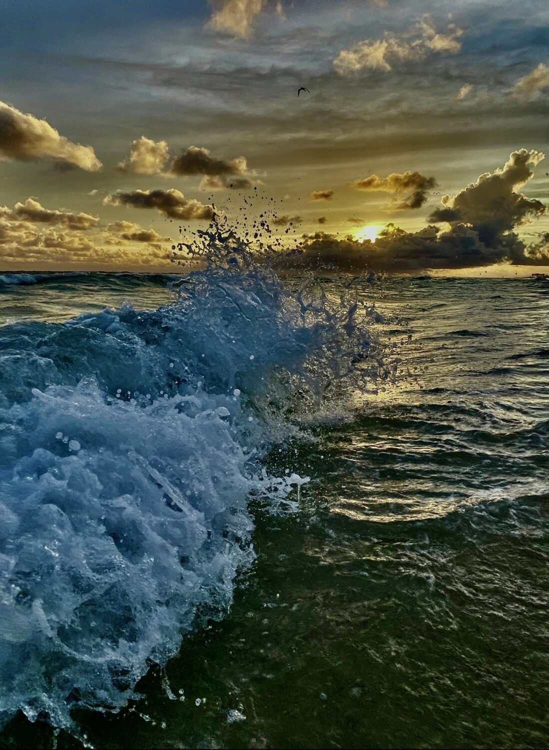 Gulf of Mexico sunset