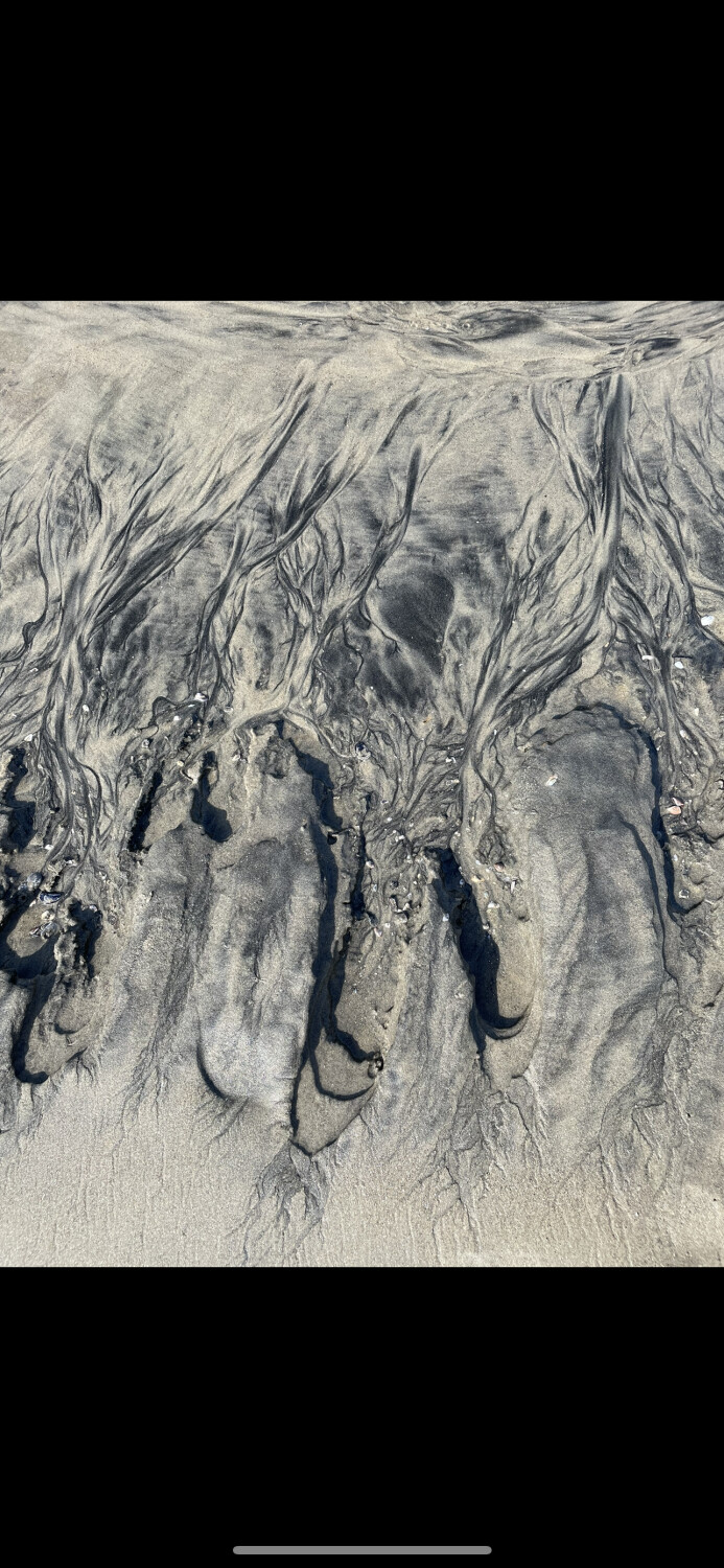 Natures Ways Deserted