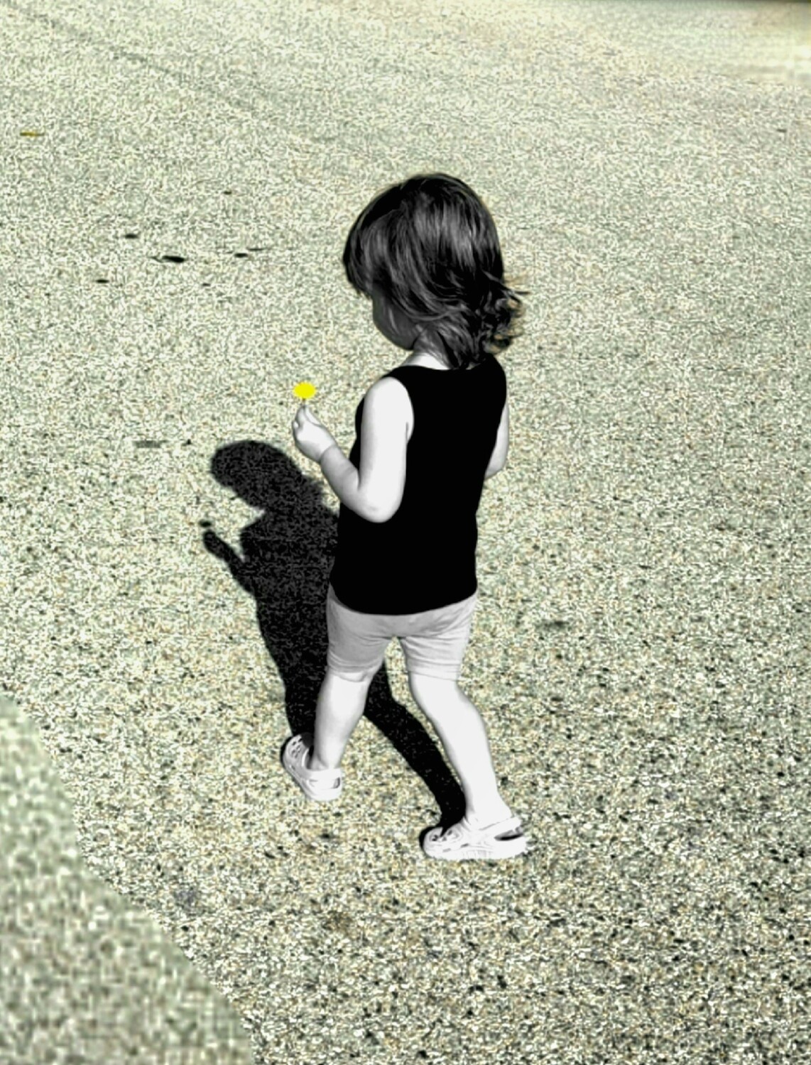 Just a Girl and her Flower