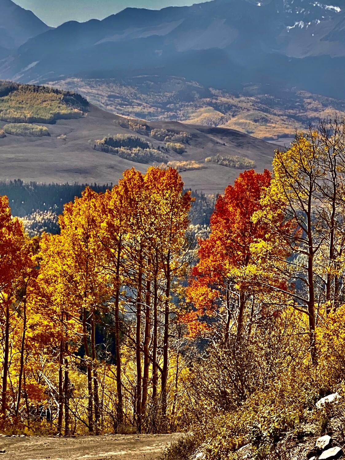 Color in the Mountains