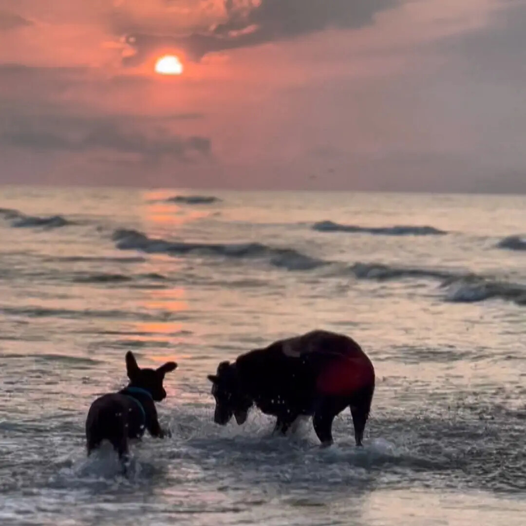 Another day at the beach