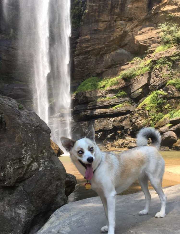 Discovering the Beauty of Mature