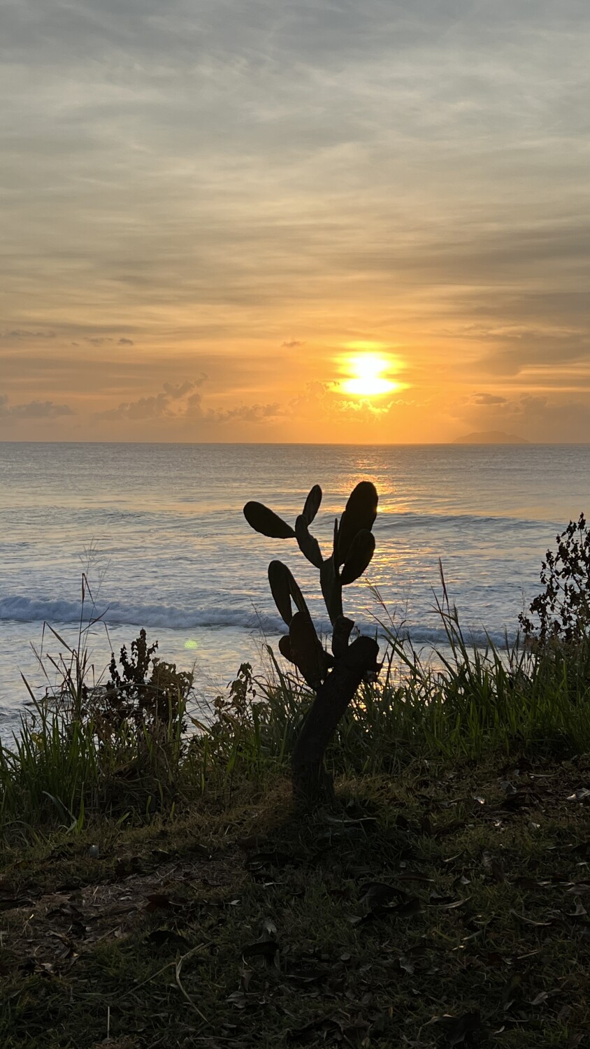 Puesta del Sol Naturaleza Divina