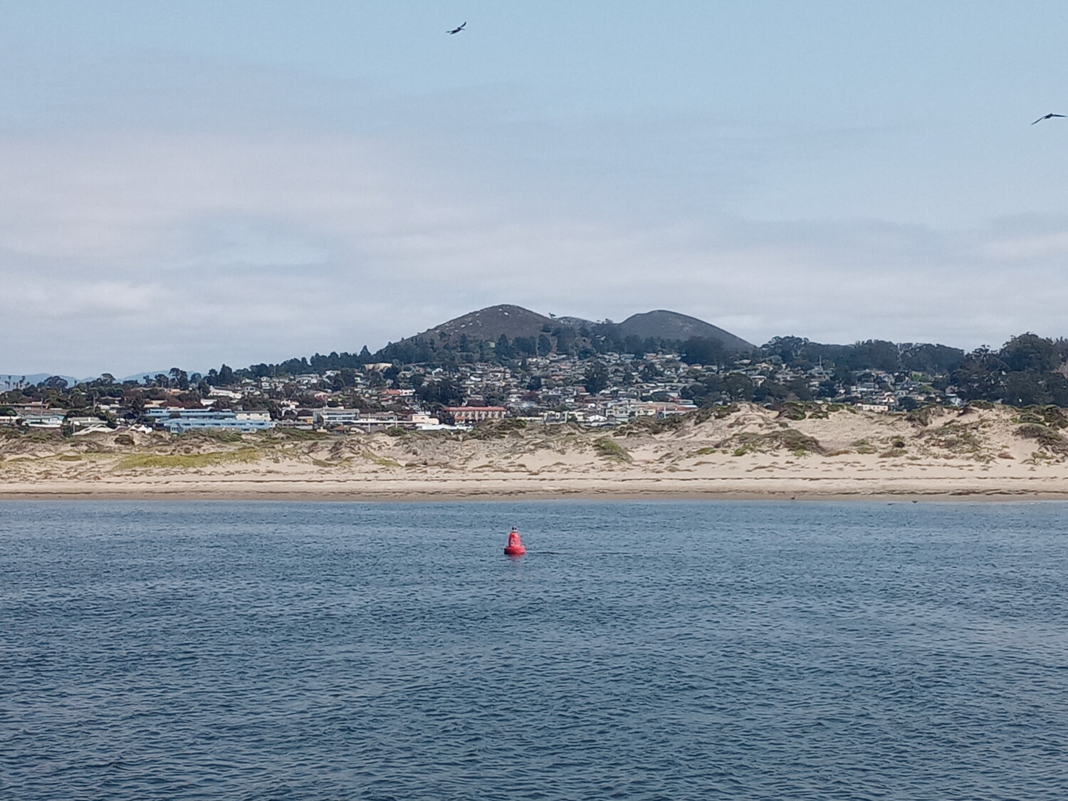 Morro bay