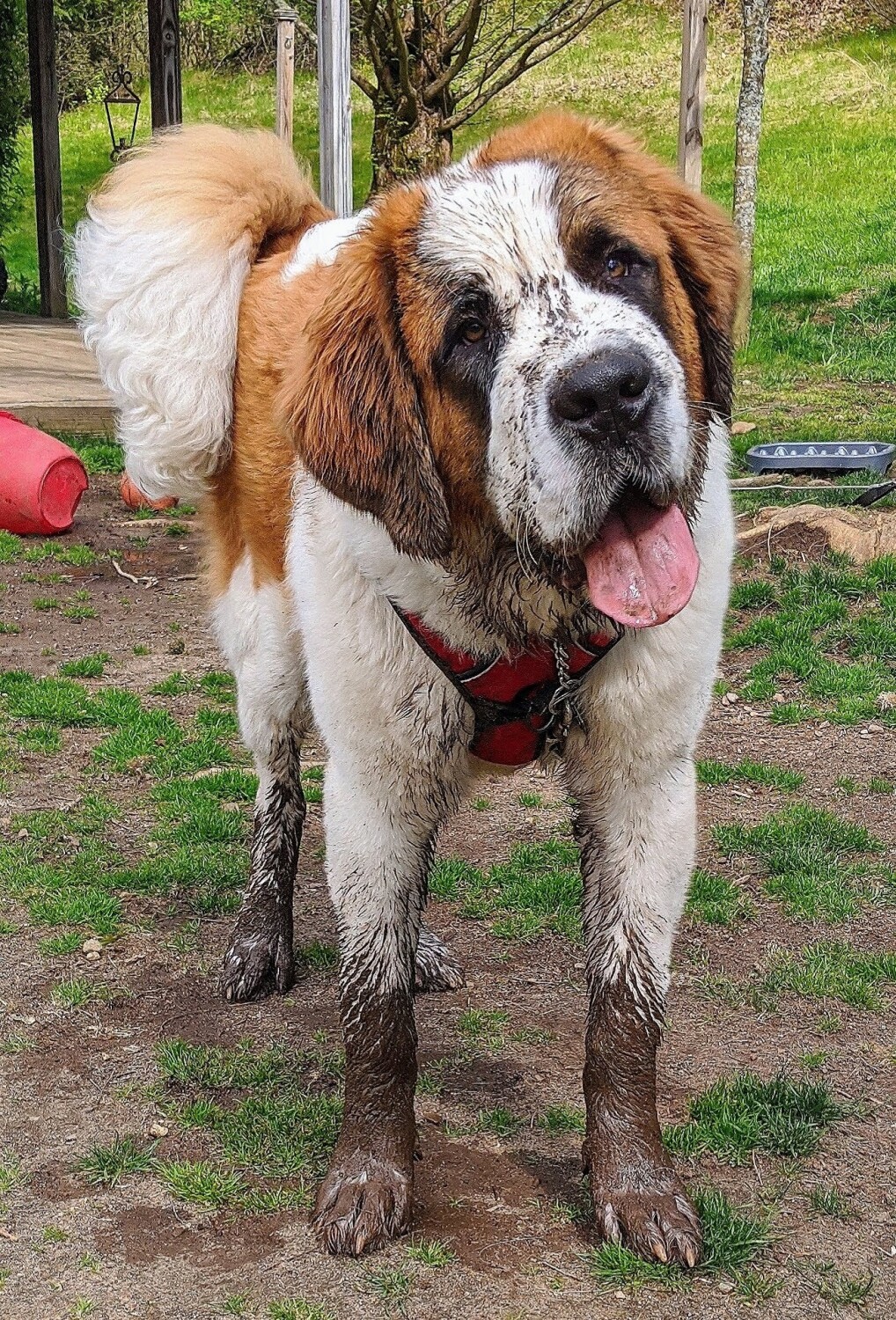 First Football Game of the 2023 Season