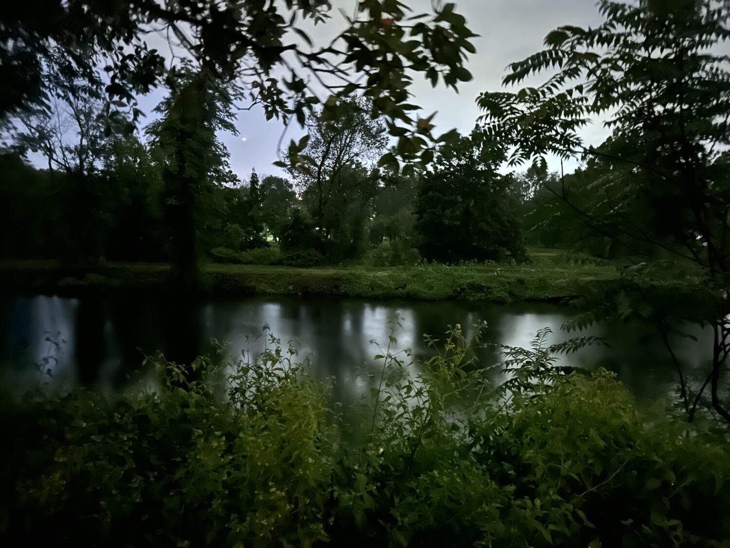 Liveliness in the dark