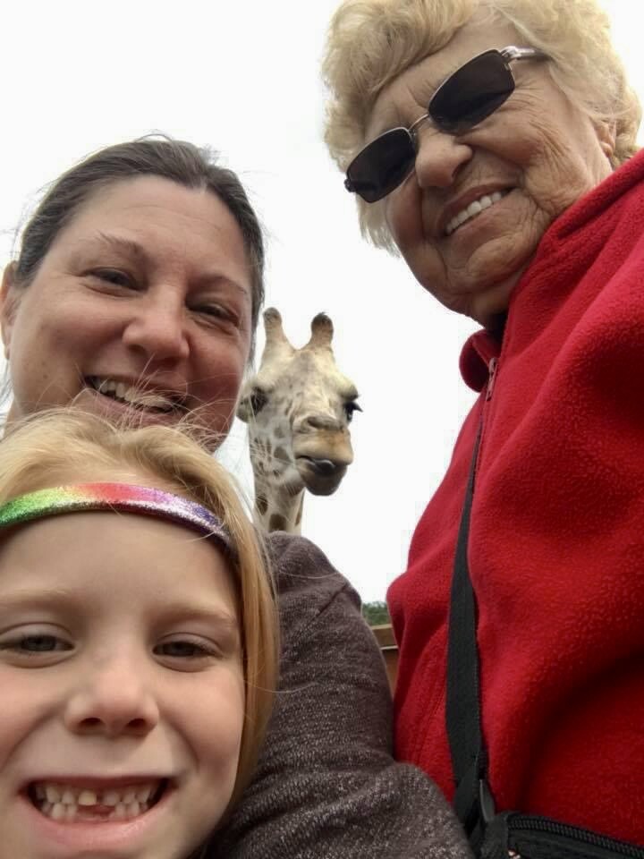 3 generation giraffe photobomb