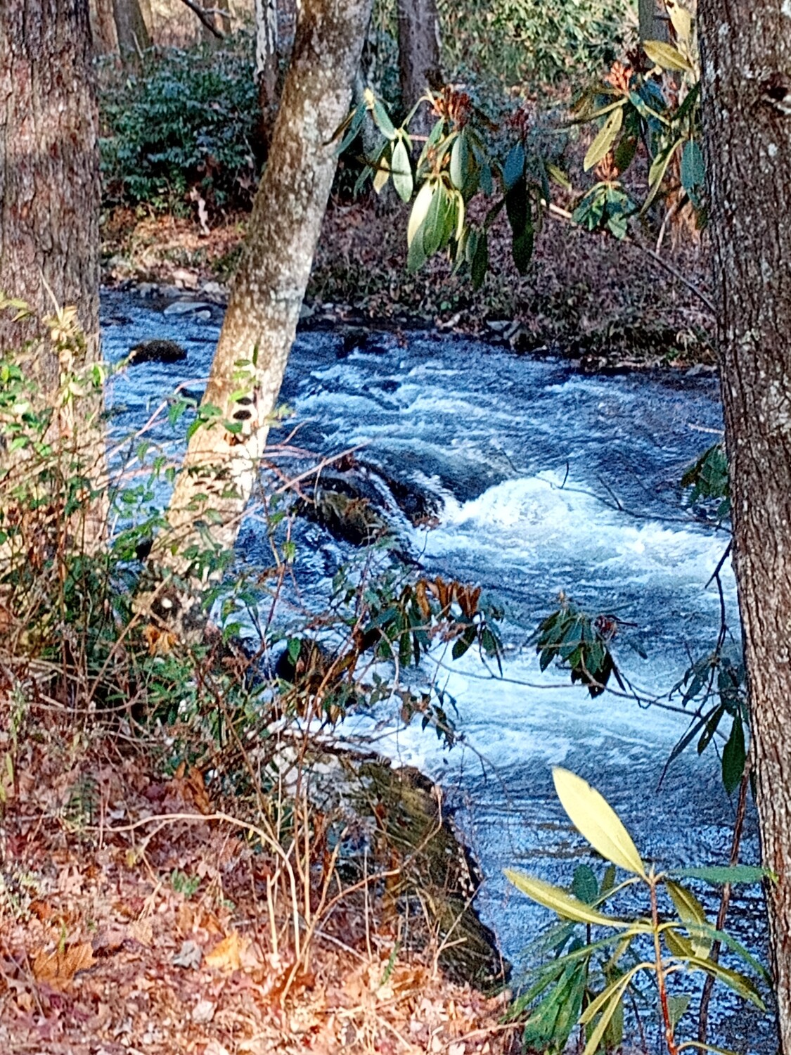 Rapids in Smoky Mountains