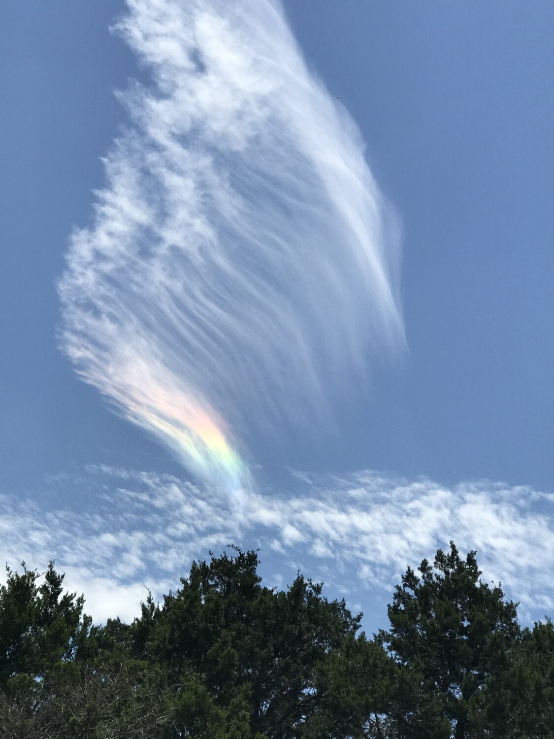 Wind Beneath Your Wings