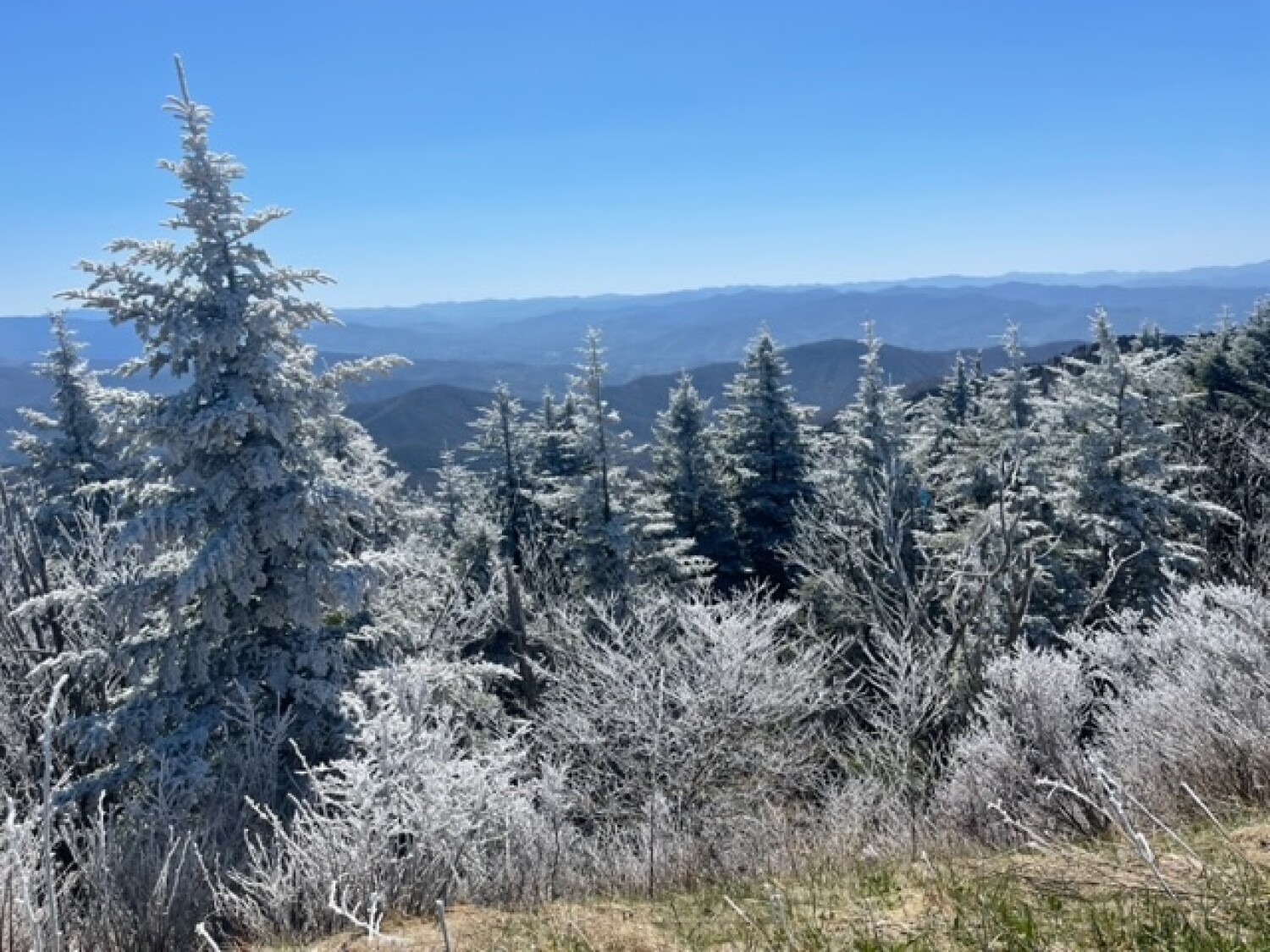 Winter in Tennessee Mountains