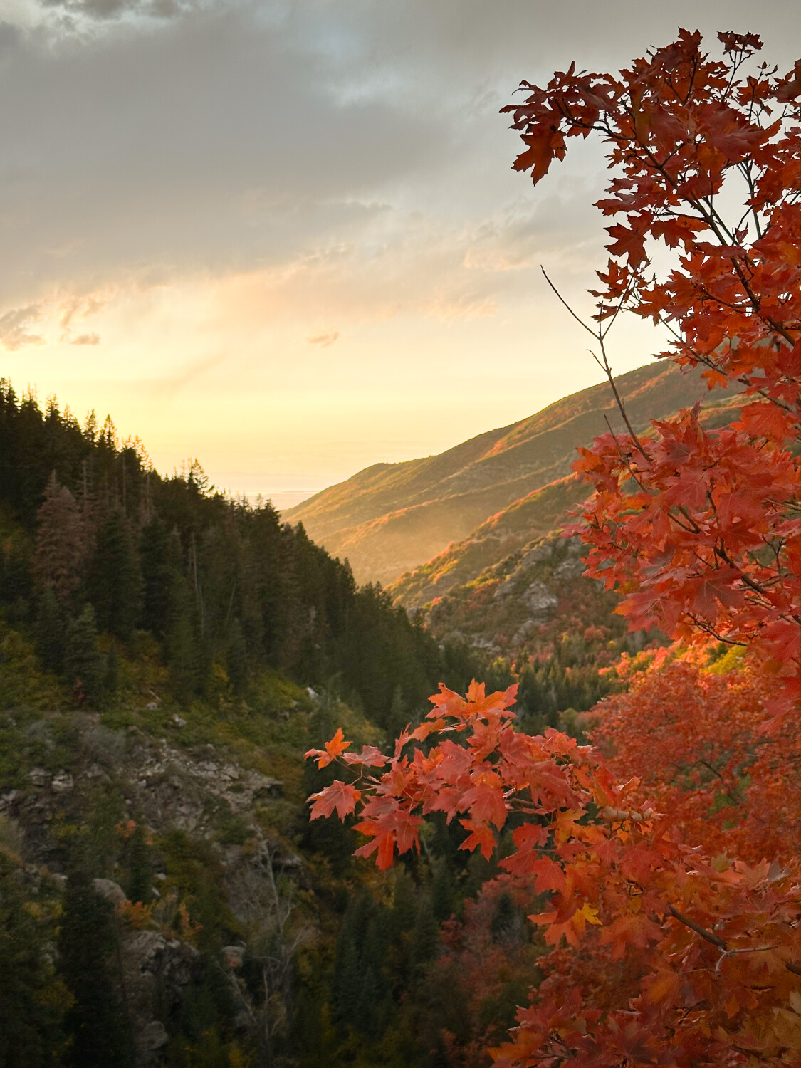 When Autumn Visits Utah