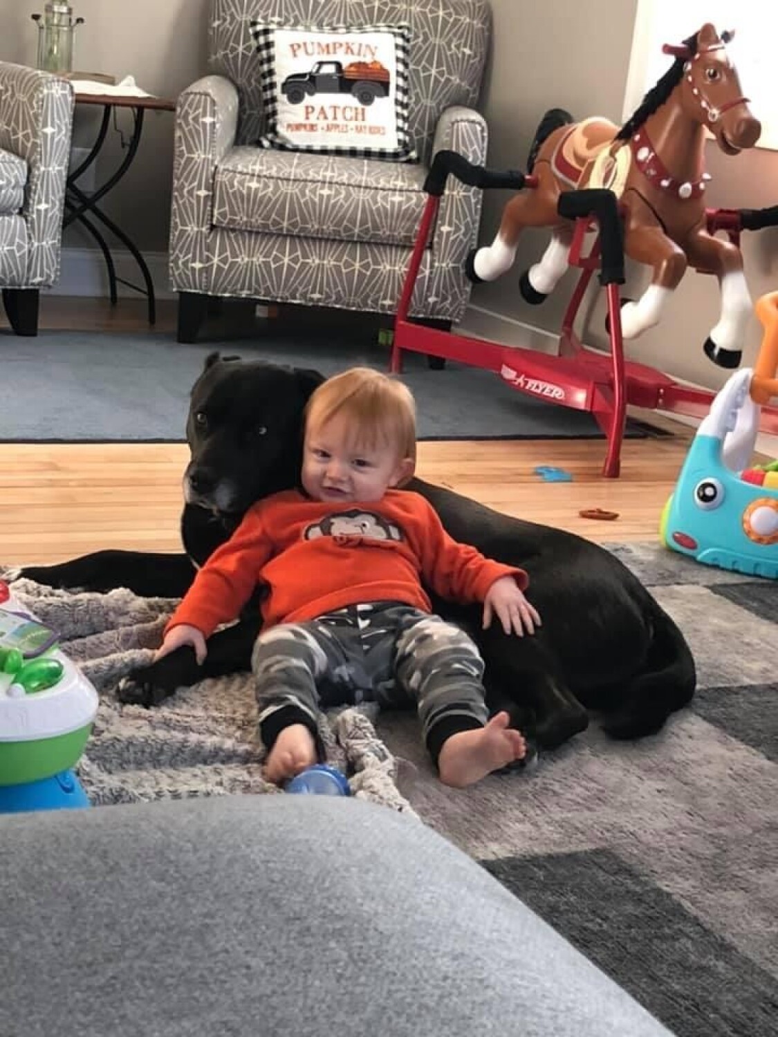 A boy and his dog