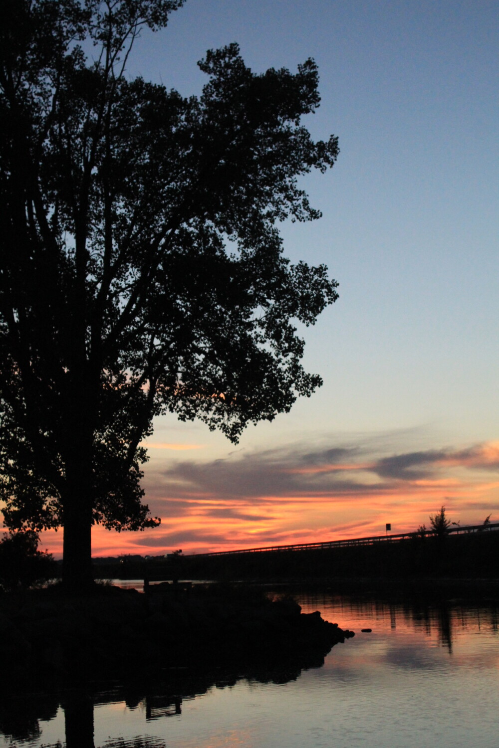 There’s beauty in the stillness