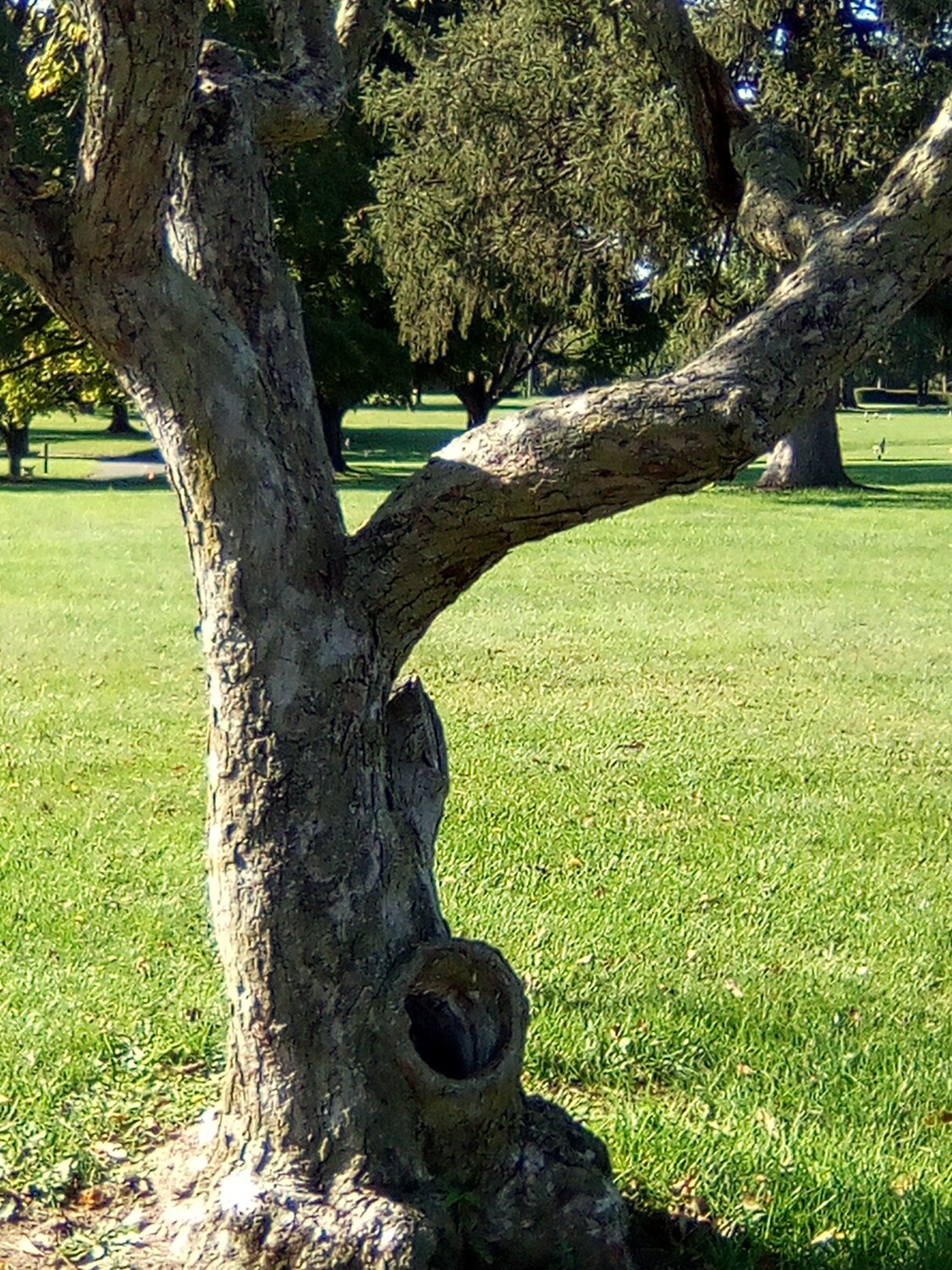 OMG' 😱 Oh my God'