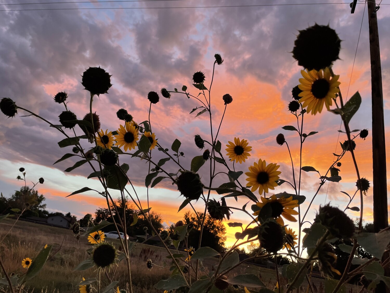 Many colors of Colorado evening sky
