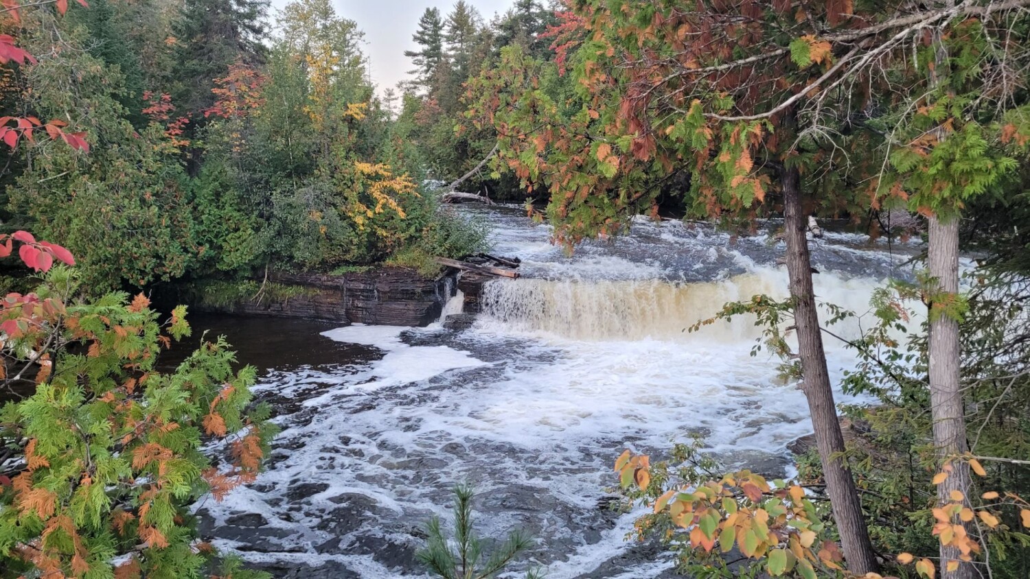 Fall in the U.P