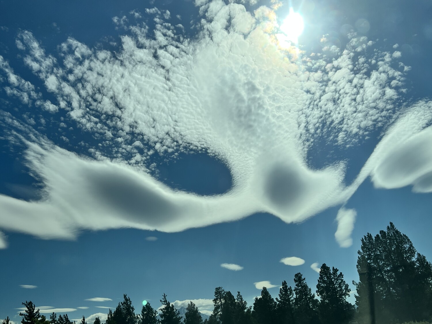 Dr Suess came to visit