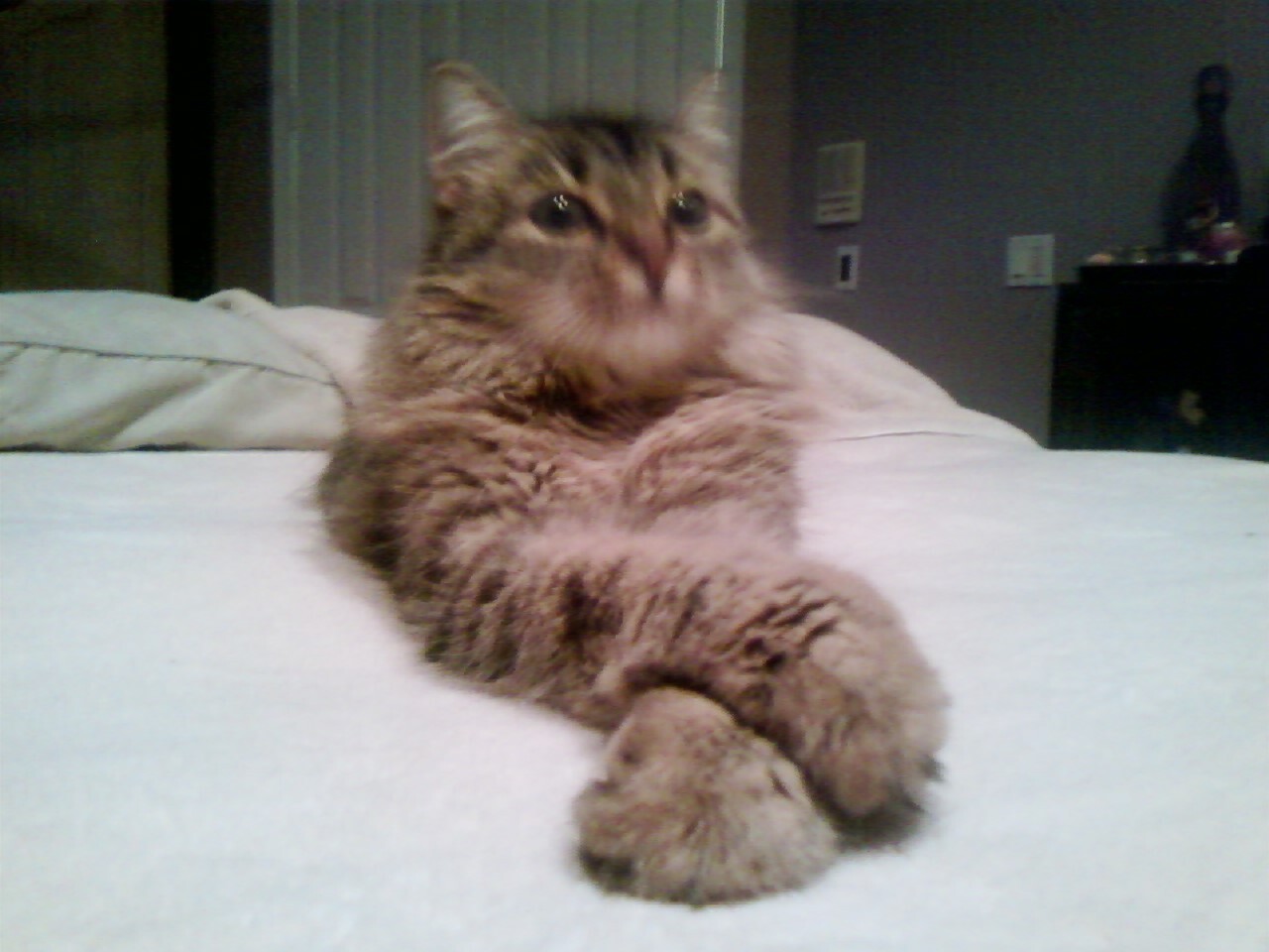 Lola…whatever she wants, she gets!