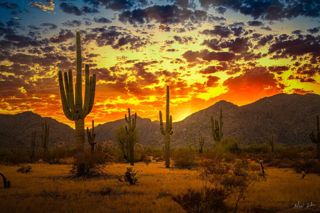 Arizona sunset