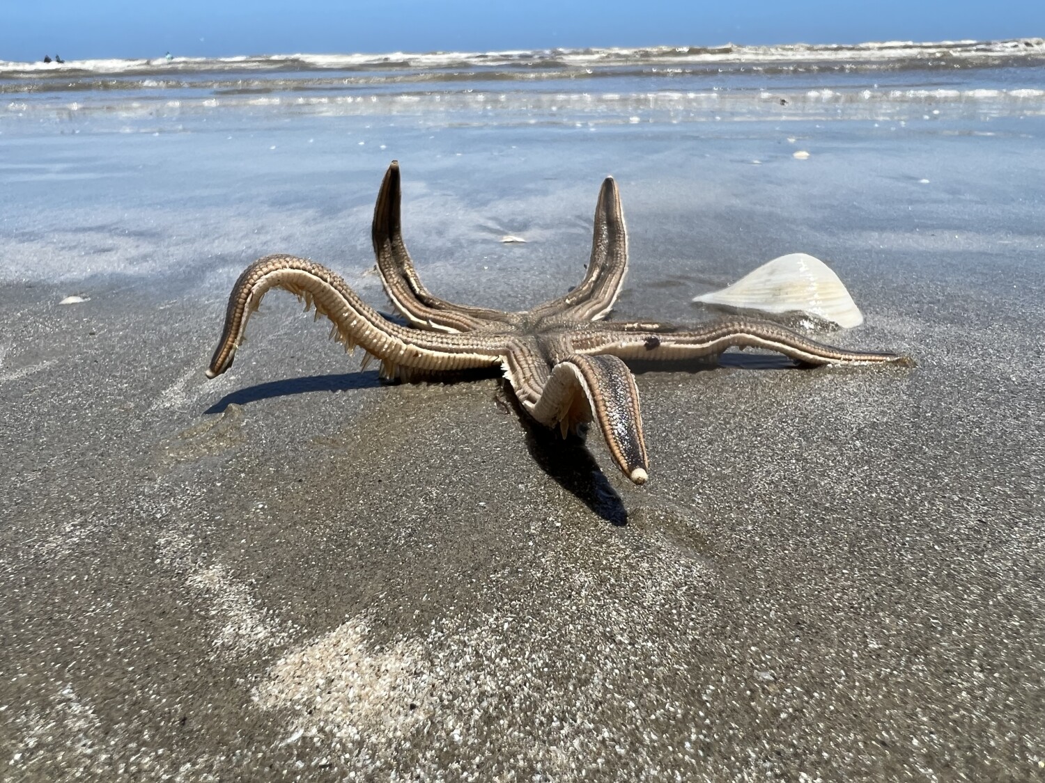 Take me to the ocean