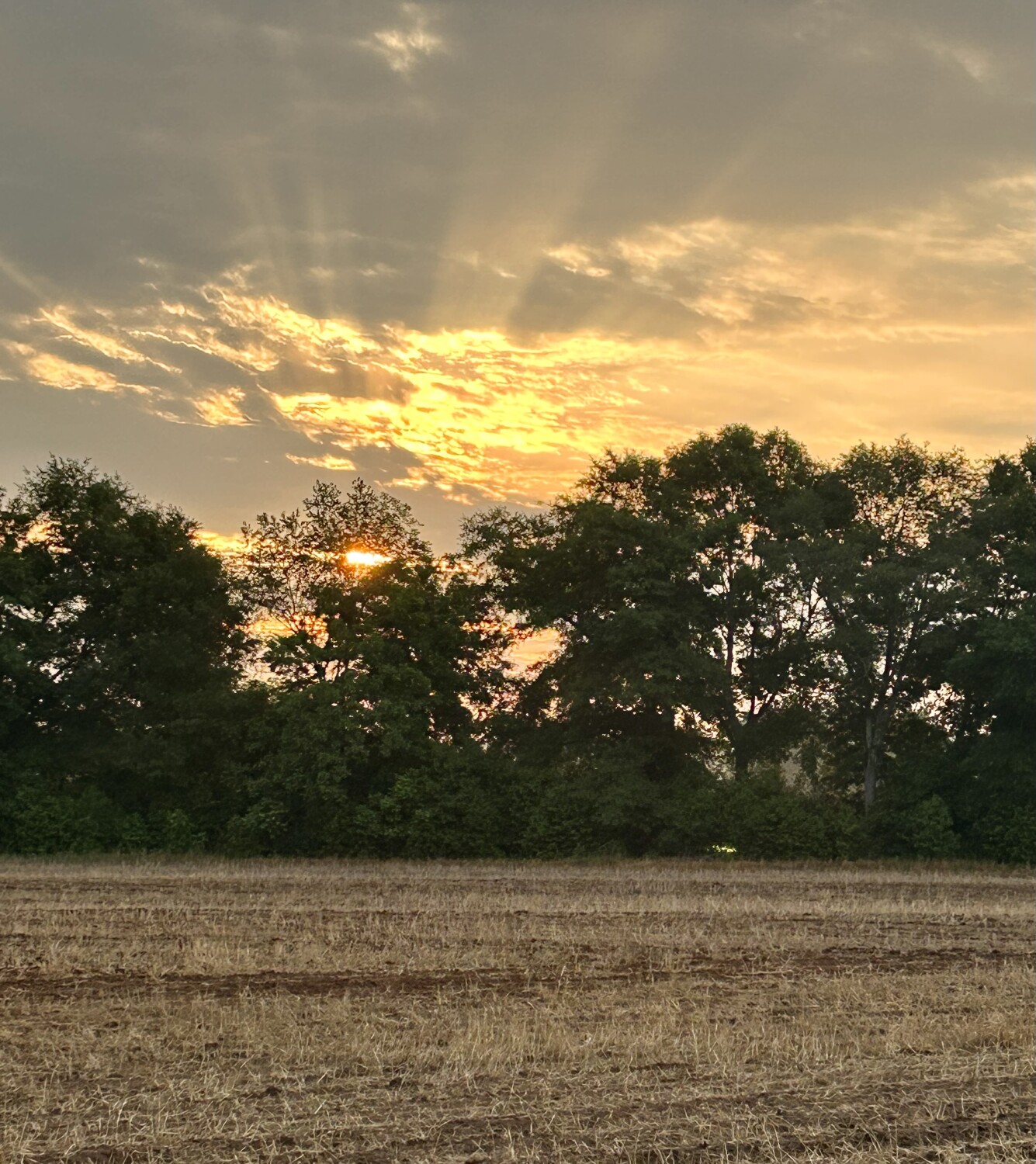 Sunrise in Midland City Al