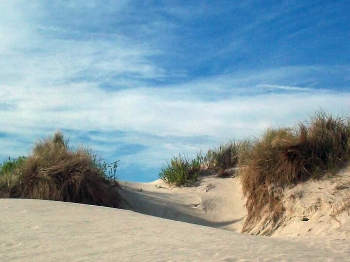 The Dune
